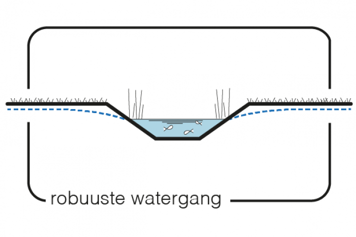 Maatregel 11 Robuuste watergang